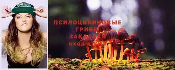прущая мука Белокуриха